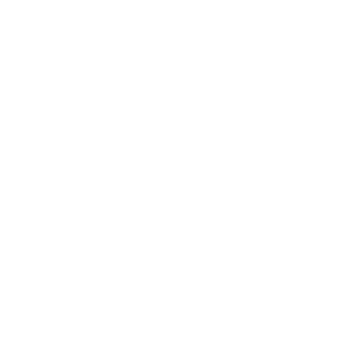 BYNEX